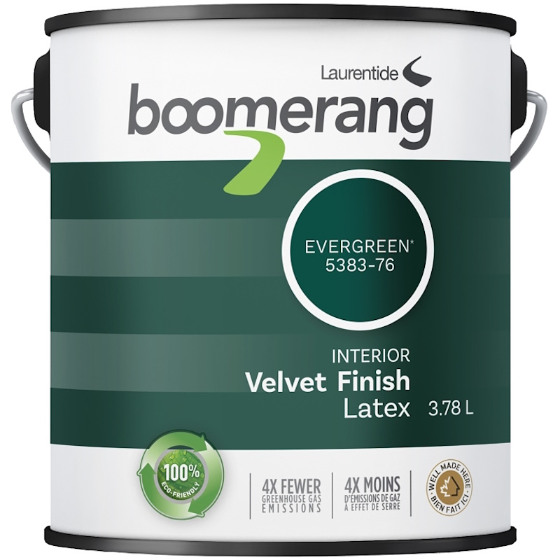 boomerangevergreen1g